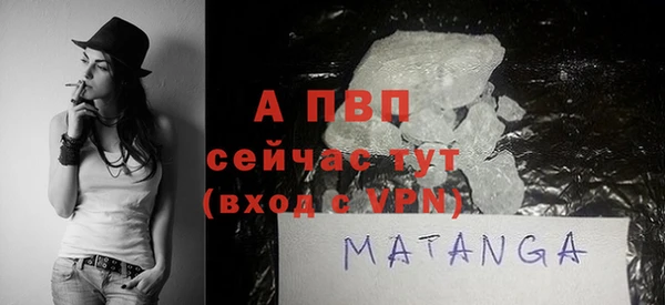 ПСИЛОЦИБИНОВЫЕ ГРИБЫ Коряжма