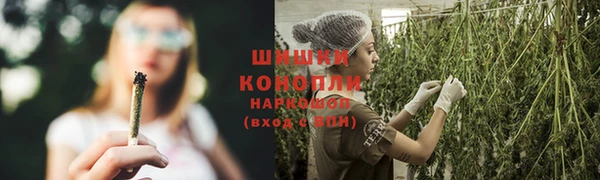 каннабис Корсаков