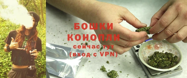 ПСИЛОЦИБИНОВЫЕ ГРИБЫ Коряжма