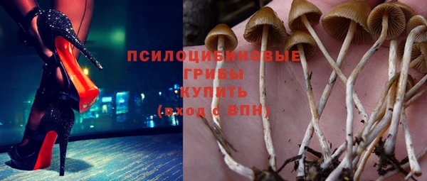 ПСИЛОЦИБИНОВЫЕ ГРИБЫ Коряжма